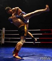 Профессиональные «бои без правил» по версии Mix Fight пройдут в Волгограде
